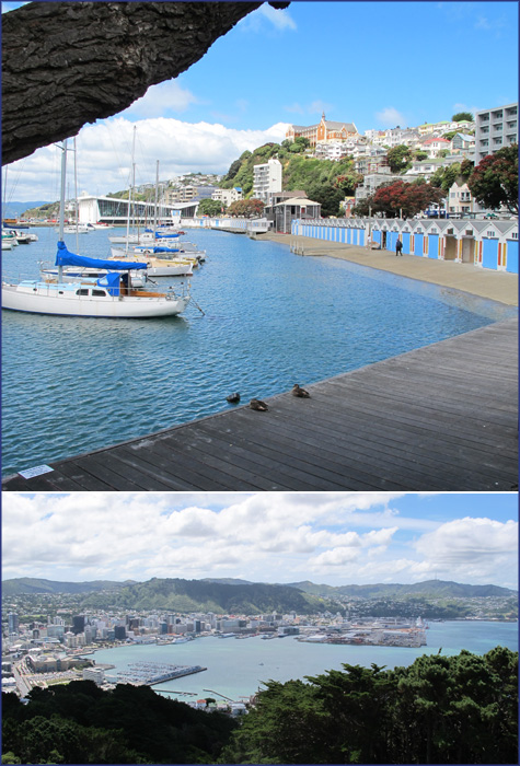 wellington