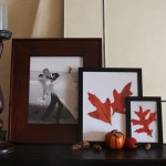 Decorating for Fall: Framed Autumn Leaves