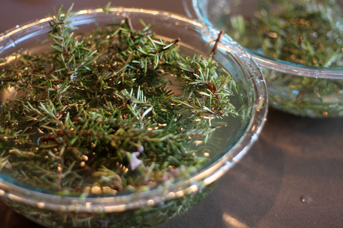 Rosemary | PepperDesignBlog.com