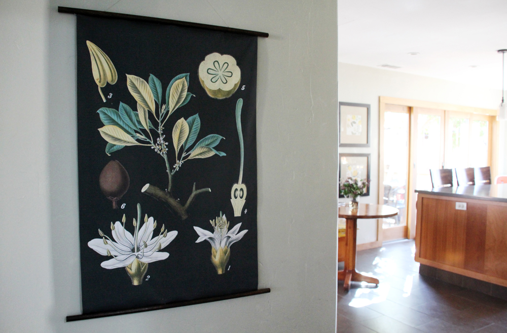 Our Den to Kitchen Transformation : Botanical Chart Art : PepperDesignBlog.com