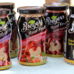 An Ice Cream Social with Breyers