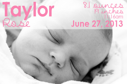 Taylor Rose is Here | PepperDesignBlog.com