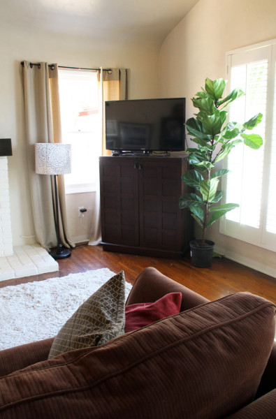 A New Fiddle Leaf Fig | PepperDesignBlog.com