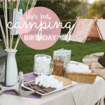 Liv's 3rd 'Camping' Birthday