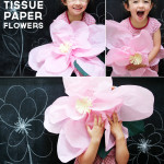 Giant Tissue Paper Flowers