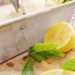 Lemon & Mint Freezer Sorbet