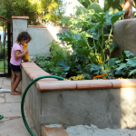 Our Summer Garden Box