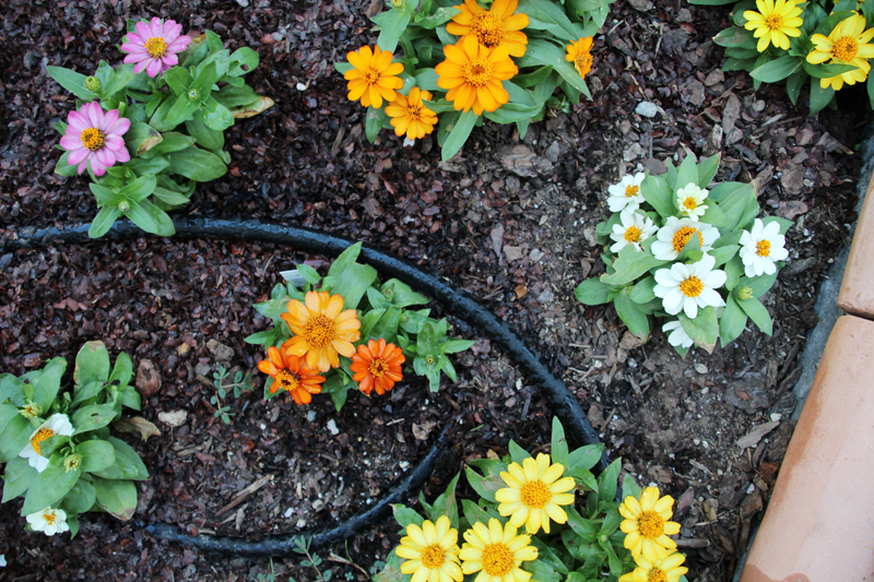 A Garden Box Harvest | PepperDesignBlog.com