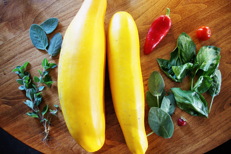 A Garden Box Harvest | PepperDesignBlog.com