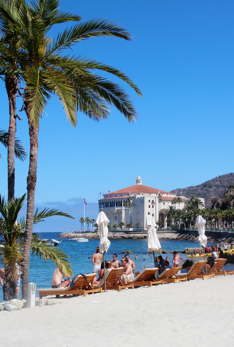 A Guide to Catalina Island | PepperDesignBlog.com