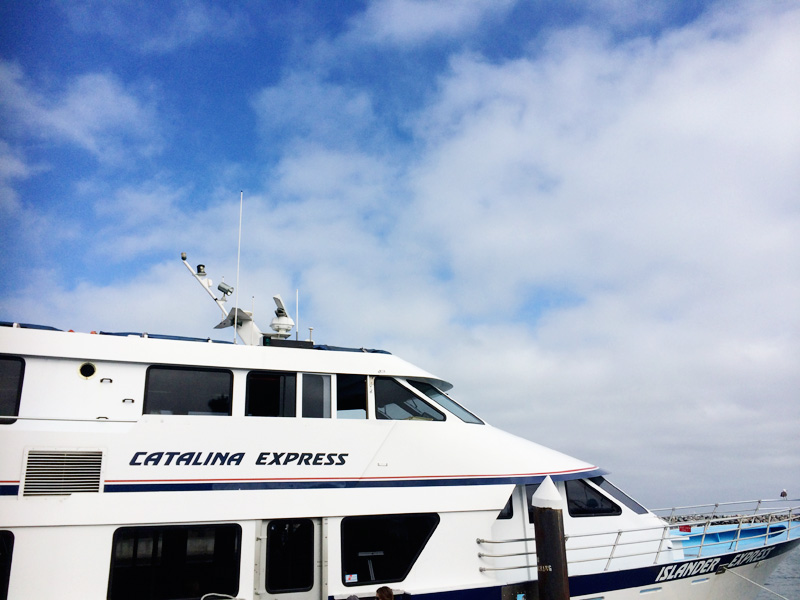 A Guide to Catalina Island | PepperDesignBlog.com