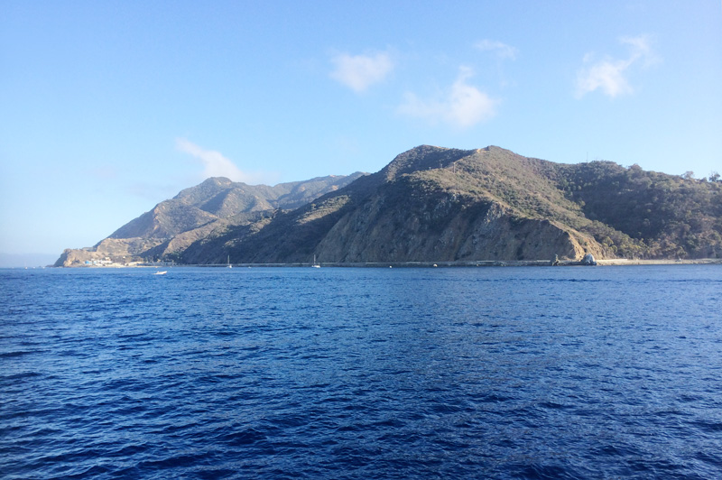 A Guide to Catalina Island | PepperDesignBlog.com