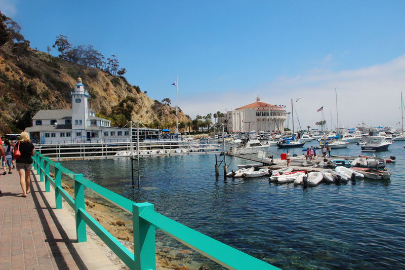 A Guide to Catalina Island | PepperDesignBlog.com