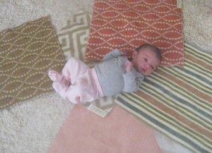 Nursery Fabric - Olivia 4