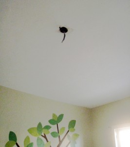 New Pendant Light for the Nursery - Removed fixture
