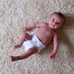 Going Green: Cloth Diaper Review #1