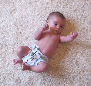 cloth diaper review