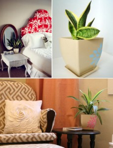 New Mama Giveaway - Green Your Air.