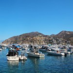 A Guide to Catalina Island