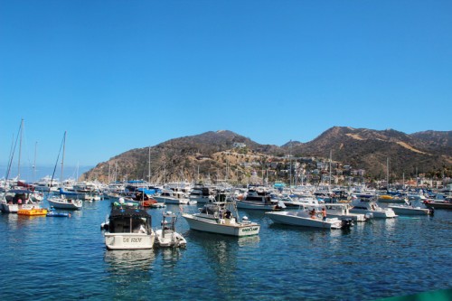 A Guide to Catalina Island | PepperDesignBlog.com