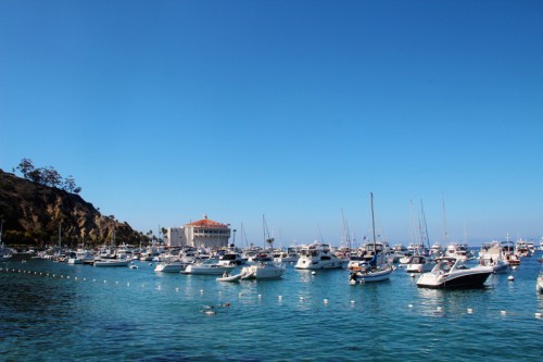 A Guide to Catalina Island | PepperDesignBlog.com
