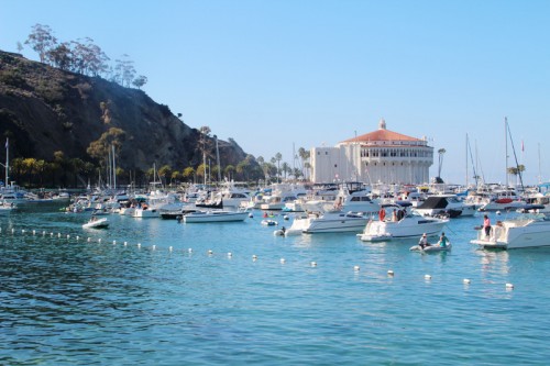 A Guide to Catalina Island | PepperDesignBlog.com