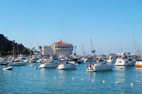 A Guide to Catalina Island | PepperDesignBlog.com