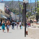 A Guide to Catalina Island