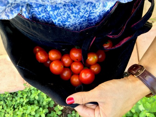Summer Harvest Recipes | PepperDesignBlog.com