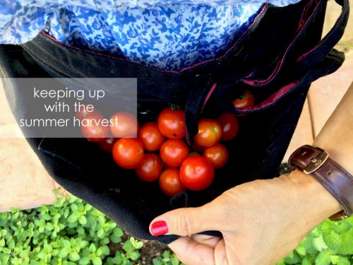 Summer Harvest Recipes | PepperDesignBlog.com