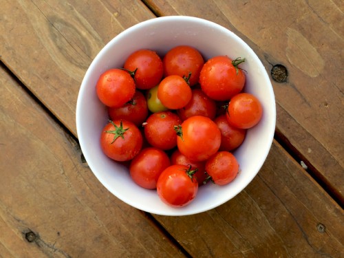 Summer Harvest Recipes | PepperDesignBlog.com