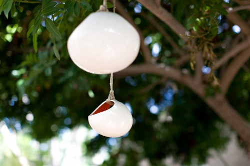Our Backyard | PepperDesignBlog.com