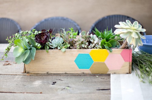 Our Backyard | PepperDesignBlog.com