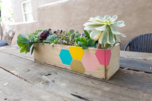 Our Backyard | PepperDesignBlog.com