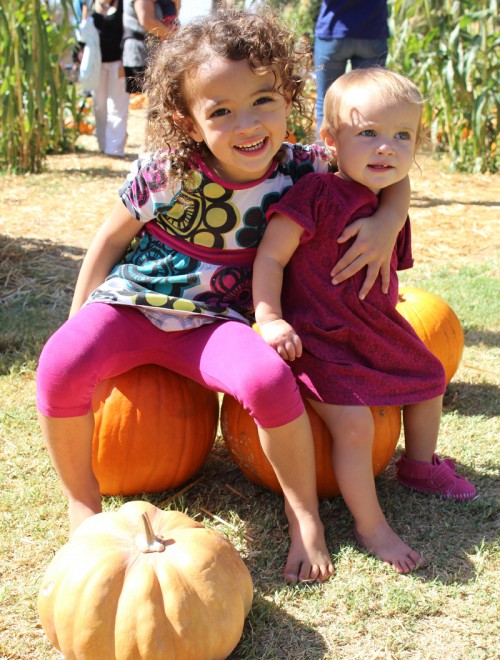Pumpkin Patch 2014 | PepperDesignBlog.com