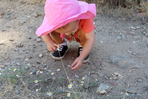 Family Hikes | PepperDesignBlog.com