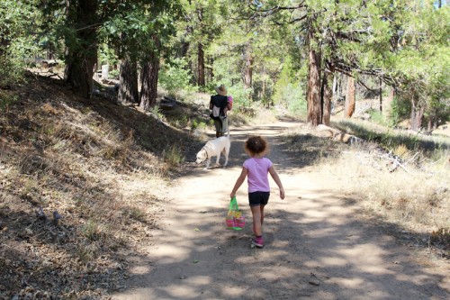 Family Hikes | PepperDesignBlog.com