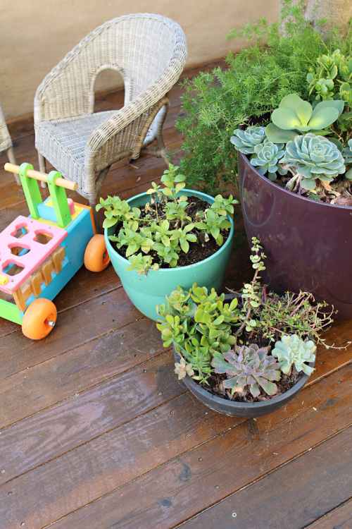 Our Renovated Backyard | PepperDesignBlog.com