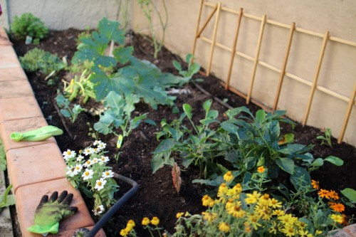 Fall & Winter Garden Box | PepperDesignBlog.com