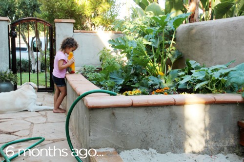 Summer Garden Box | PepperDesignBlog.com