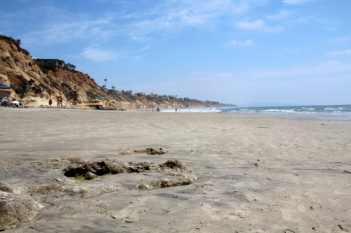 A Day at the Tidepools | PepperDesignBlog.com
