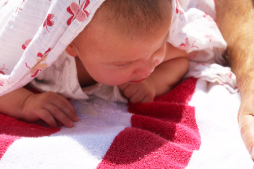 A Day at the Tidepools | PepperDesignBlog.com