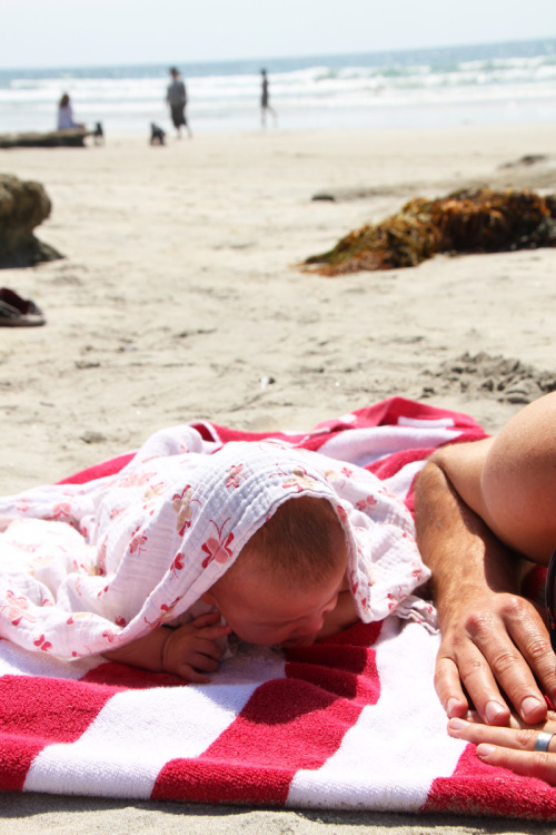 A Day at the Tidepools | PepperDesignBlog.com