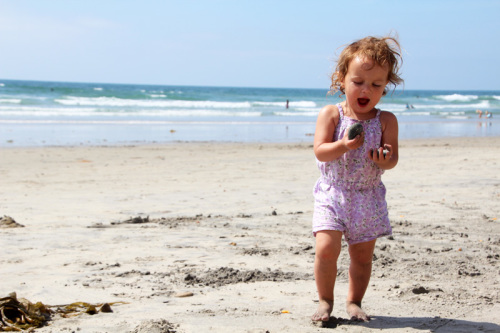 A Day at the Tidepools | PepperDesignBlog.com