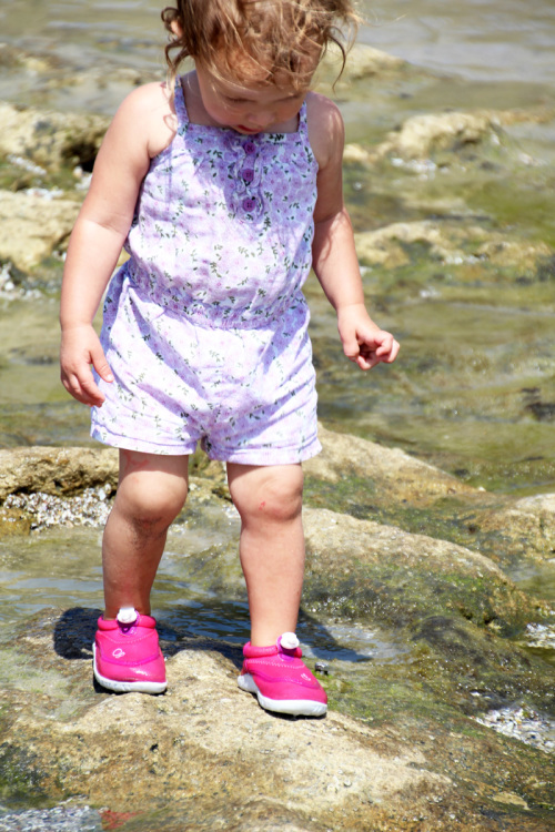 A Day at the Tidepools | PepperDesignBlog.com