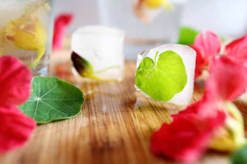 Edible Flowers | PepperDesignBlog.com