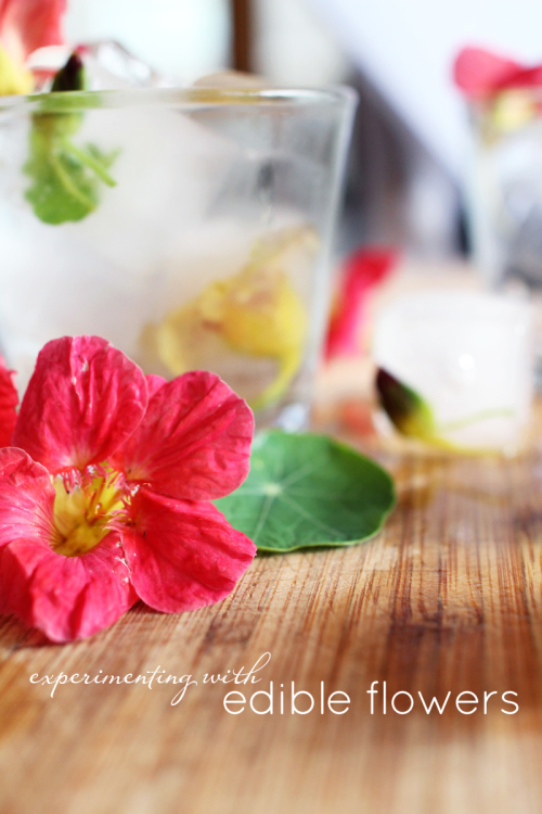 Edible Flowers | PepperDesignBlog.com