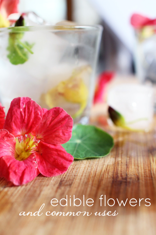 Edible Flowers | PepperDesignBlog.com