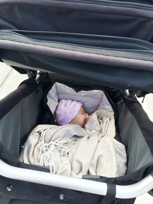 A Mountain Buggy +One Double Stroller Review