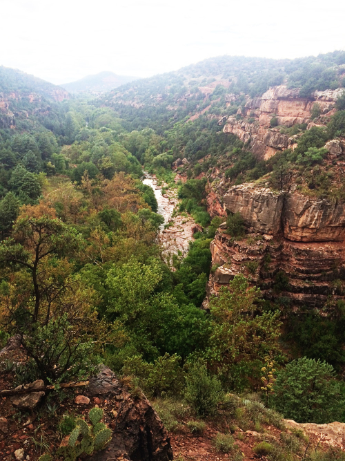 Family Time in Sedona, 2015